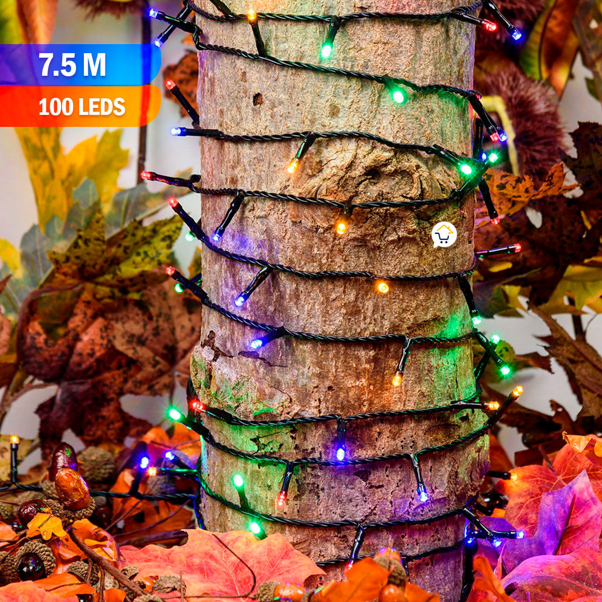 NoelUp la navidad más mágica- Papá Noel Sube y baja Escalera 🎄