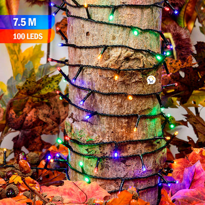 NoelUp la navidad más mágica- Papá Noel Sube y baja Escalera 🎄